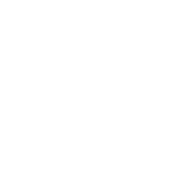 Free Spirit Investments